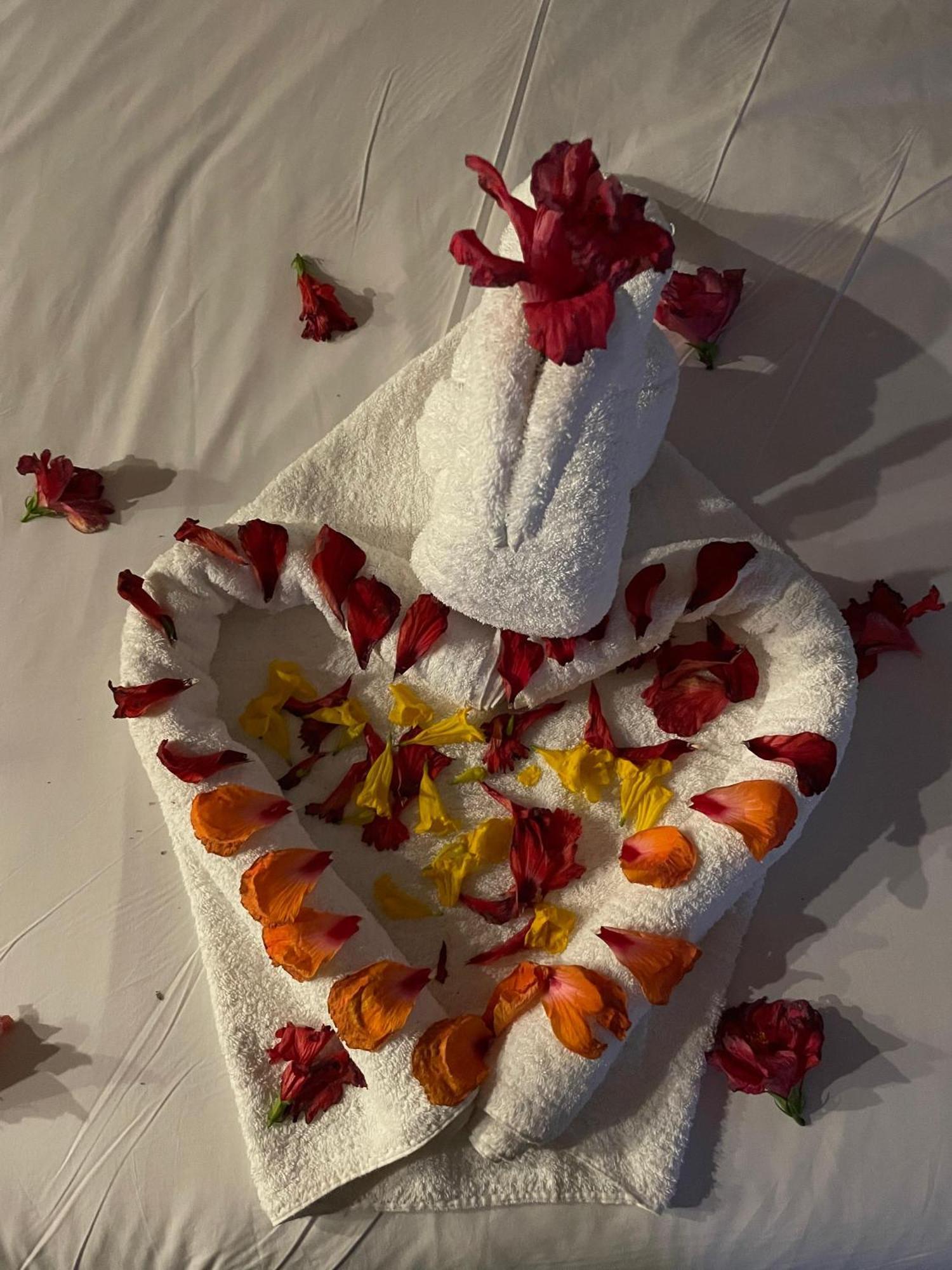 Hotel Vitan273 בוקרשט מראה חיצוני תמונה